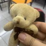 Brandon Moreno