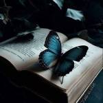 Анастасия Казицкая